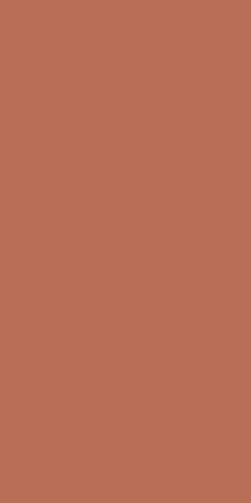 ROUGE POL. RECT 60X120